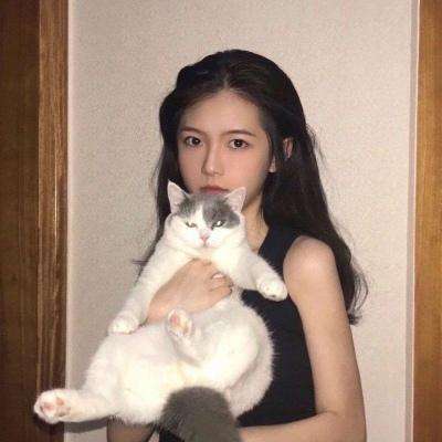保岛七战破解版下载